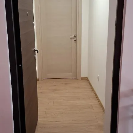 Bingo's Apartment *