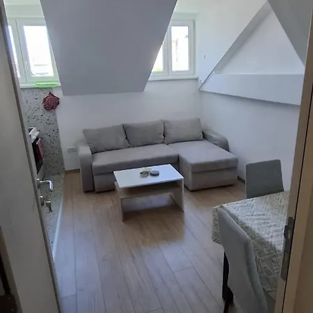 Bingo's 베오그라드